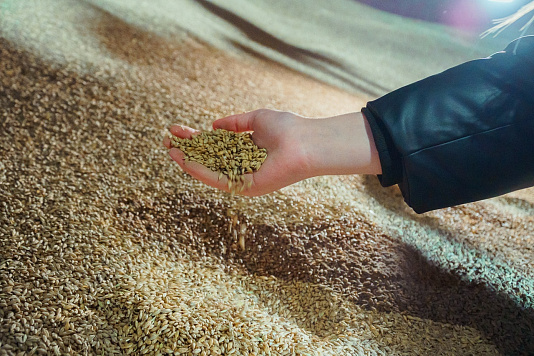 Студенты ГАУ Северного Зауралья погружаются в профессию на ведущих предприятиях региона