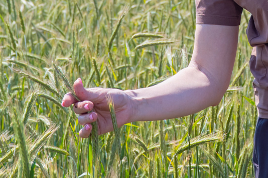 Ученые аграрного университета Северного Зауралья создали цифровой дуэт для умного земледелия