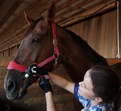 Ученые ГАУ Северного Зауралья разработали уникальную базу данных по болезням животных